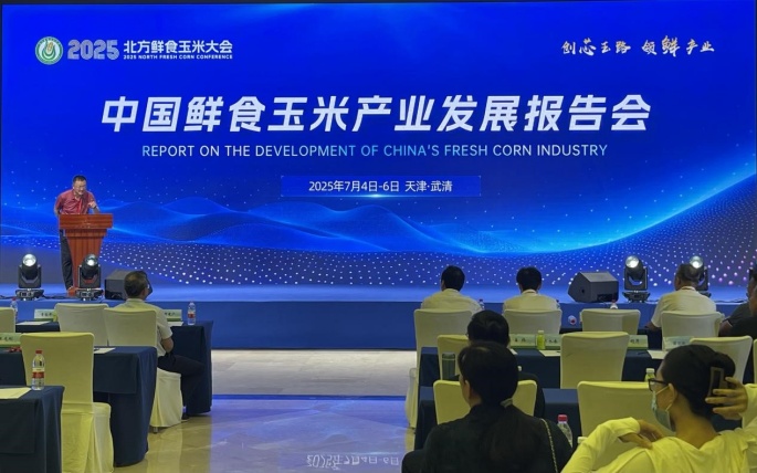 2025中国北方鲜食玉米大会在天津成功举办(图3)