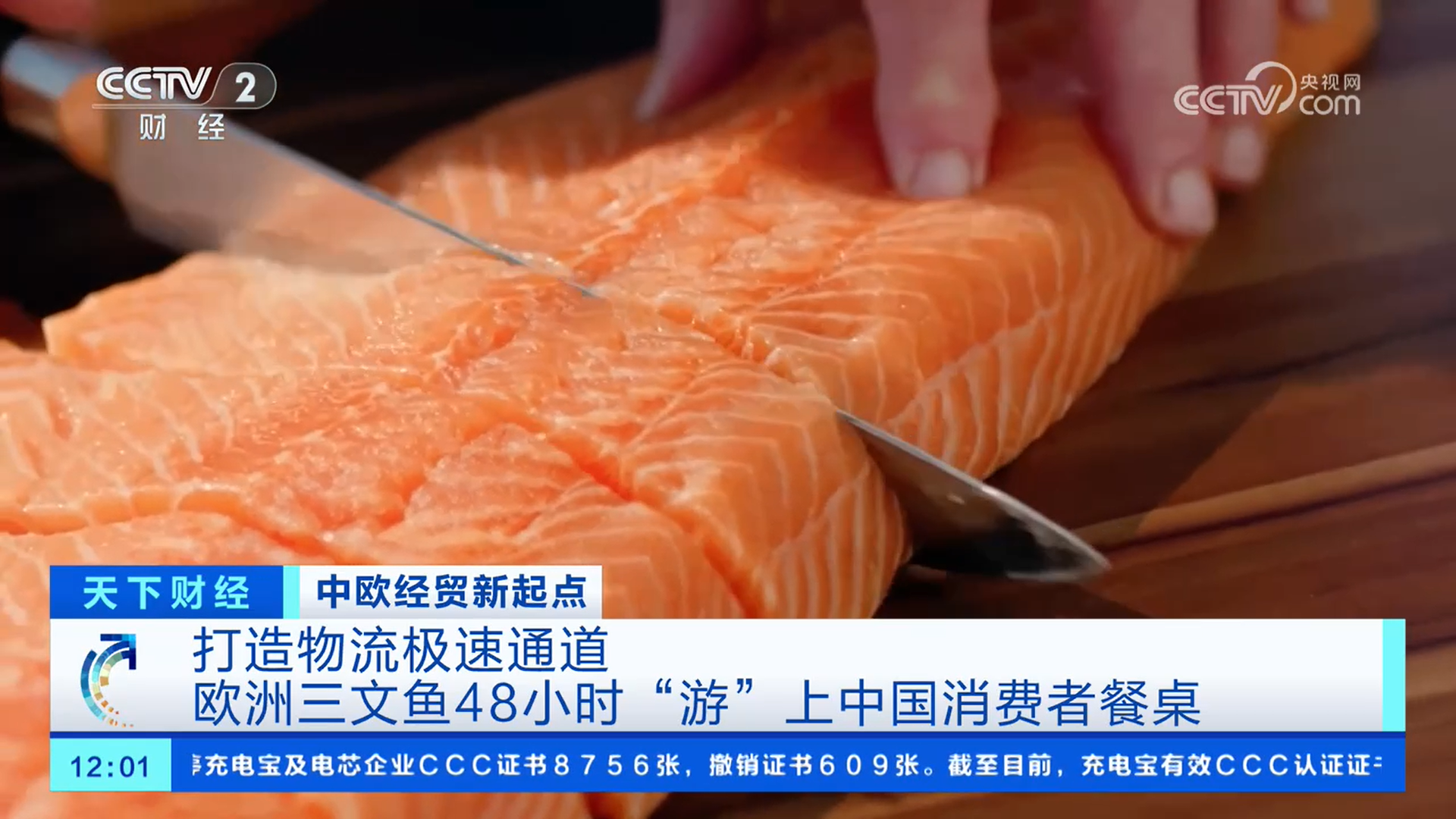 开云电竞网站:打造物流极速通道欧洲三文鱼48小时“游”上中国消费者餐桌(图1)