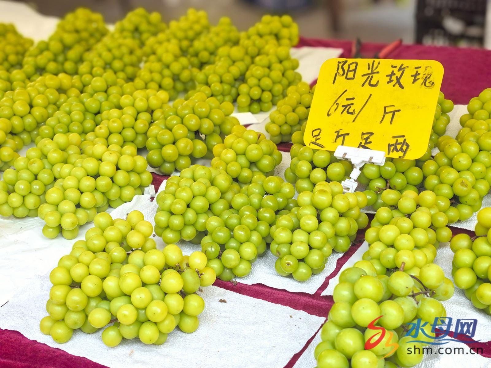 kaiyun开云电竞:初秋时令水果扎堆上市品种丰富价格亲民(图1)