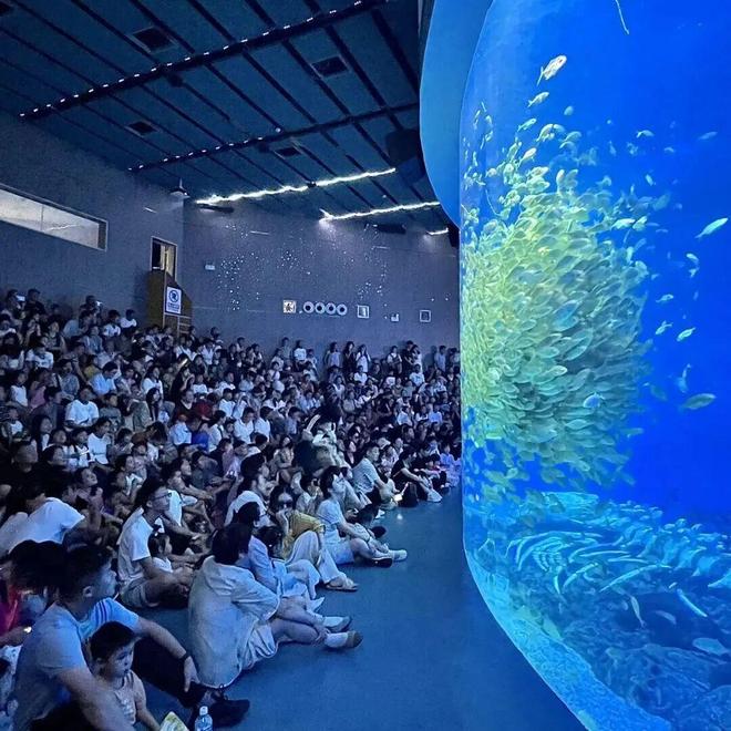 2025越夜越合肥！第五批嗨GO路线来了开云电竞(图4)