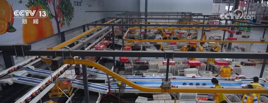 “甜蜜产业开云电竞”出海“闯世界”圈粉无数透过大数据解锁消费新趋势(图1)