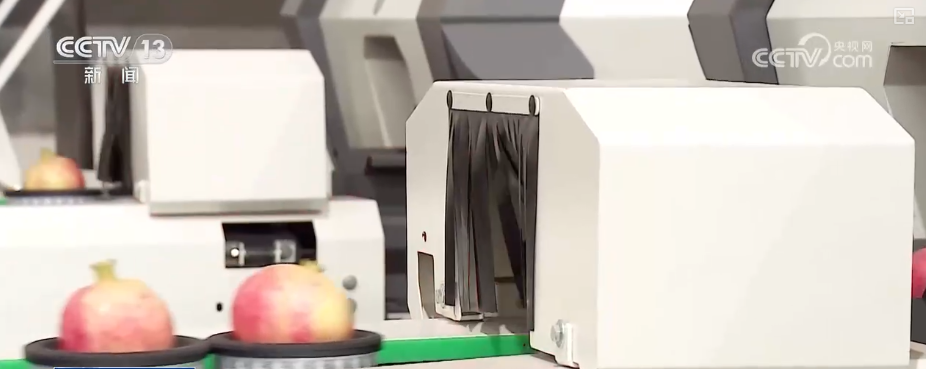 “甜蜜产业开云电竞”出海“闯世界”圈粉无数透过大数据解锁消费新趋势(图4)