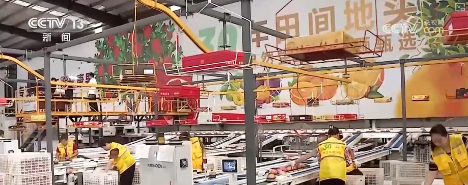 “甜蜜产业开云电竞”出海“闯世界”圈粉无数透过大数据解锁消费新趋势(图2)