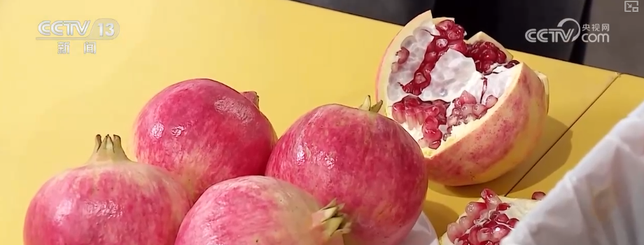 “甜蜜产业开云电竞”出海“闯世界”圈粉无数透过大数据解锁消费新趋势(图5)