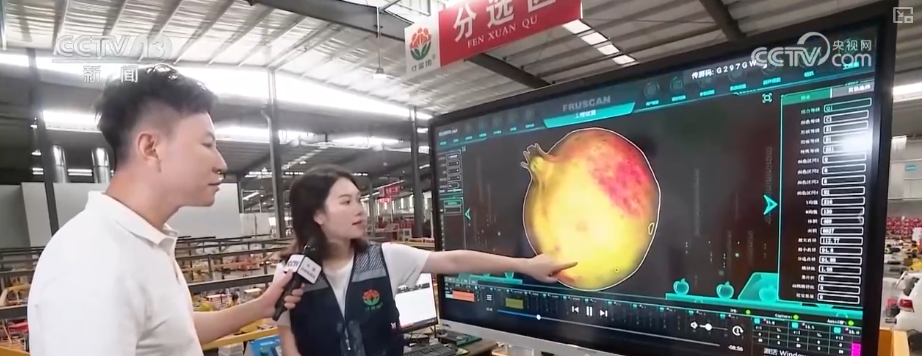 “甜蜜产业开云电竞”出海“闯世界”圈粉无数透过大数据解锁消费新趋势(图3)