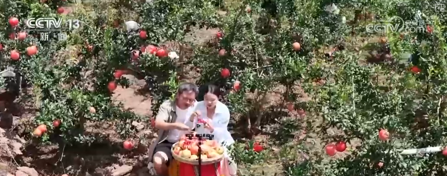 “甜蜜产业开云电竞”出海“闯世界”圈粉无数透过大数据解锁消费新趋势(图9)