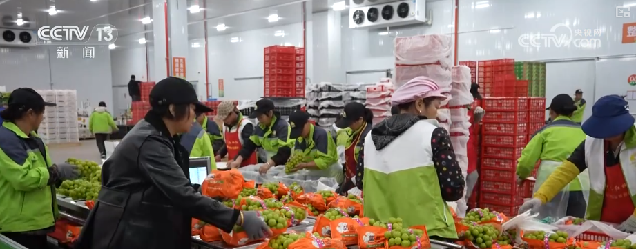 “甜蜜产业开云电竞”出海“闯世界”圈粉无数透过大数据解锁消费新趋势(图16)