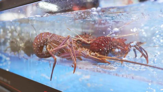 开云电竞入口:惠安首家胖永辉来了明天（12日）开业(图4)