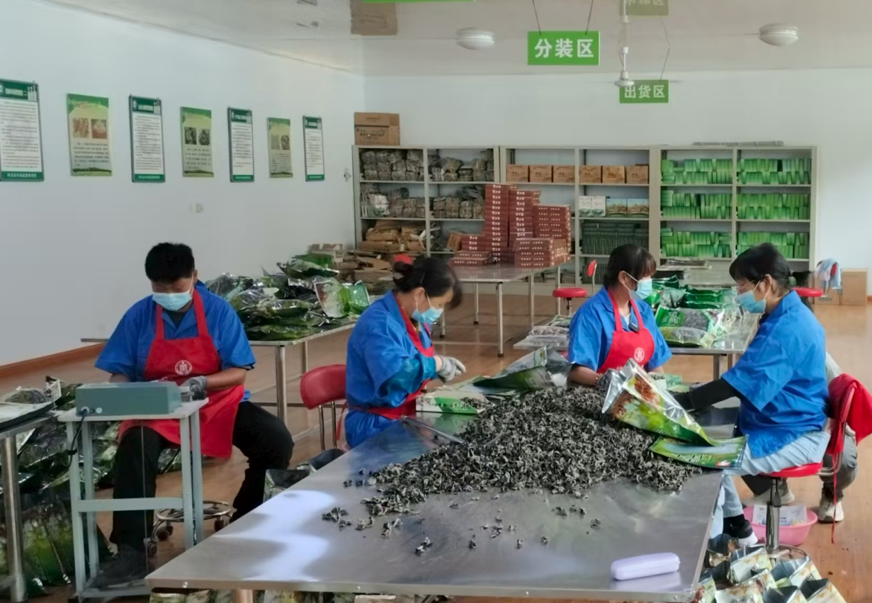 两当县站儿巷供销社提升改造焕新生(图1)