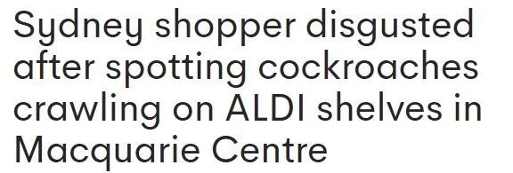 开云电竞app:澳华人区Aldi货架惊现蟑螂引发热议！网友：其它门店也有(图1)