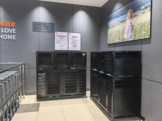 开云电竞:孝感首家“胖东来模式”调改店落地吾悦广场！(图3)