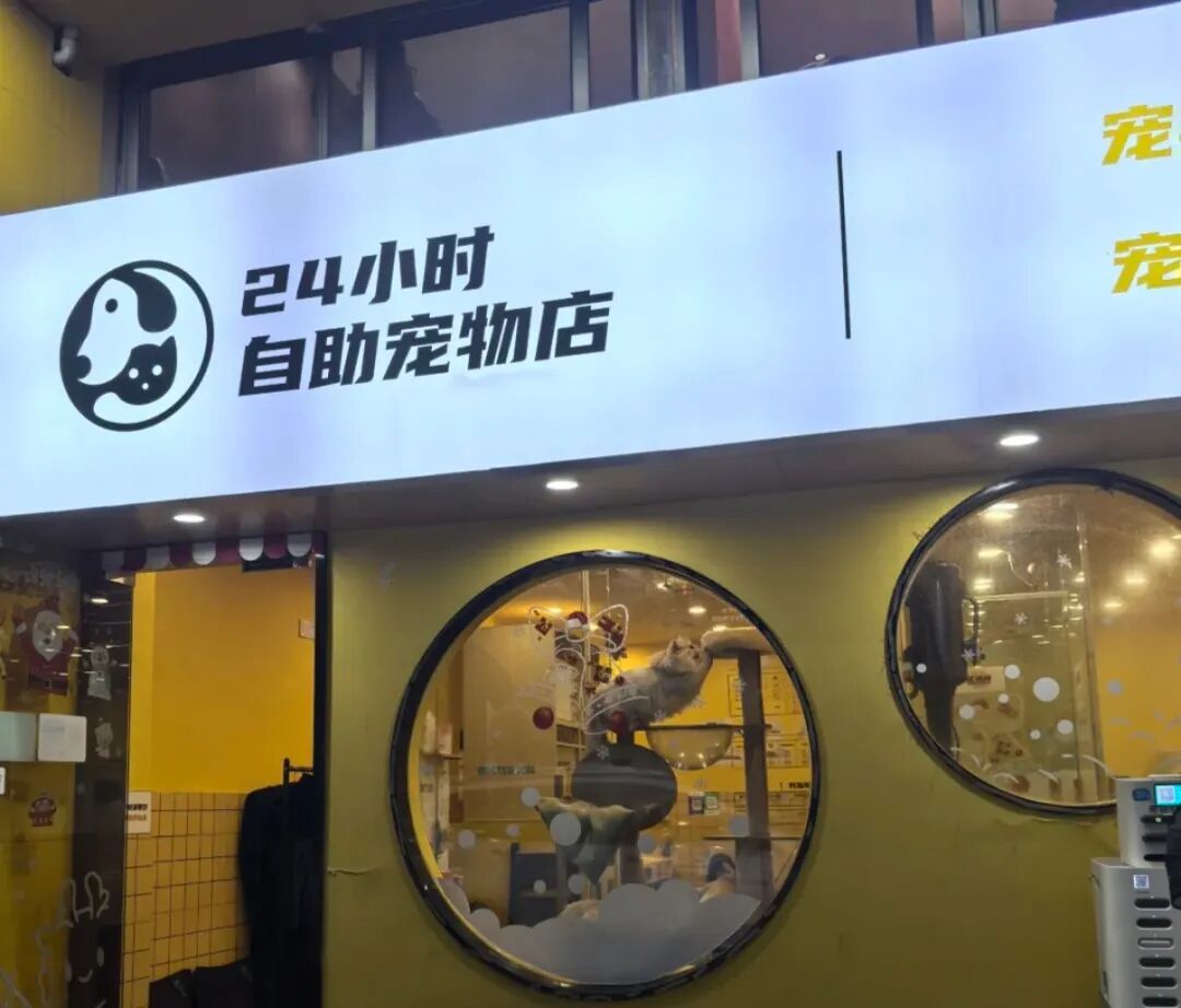 开云电竞:「i人经济」爆发改造七大消费场景(图5)