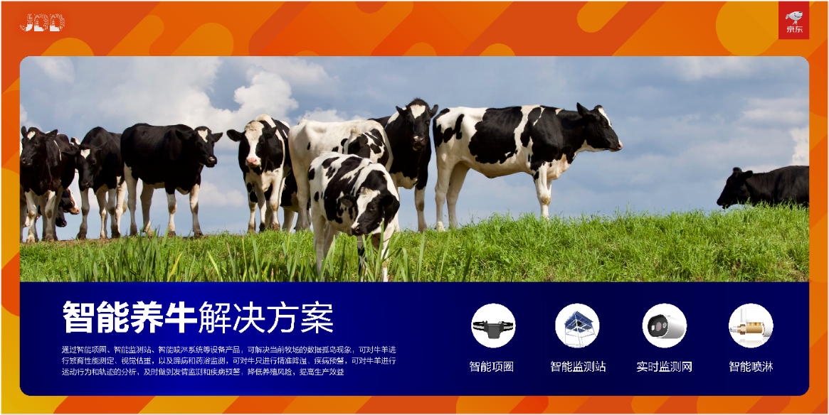 开云电竞:京东全球科技探索(图11)