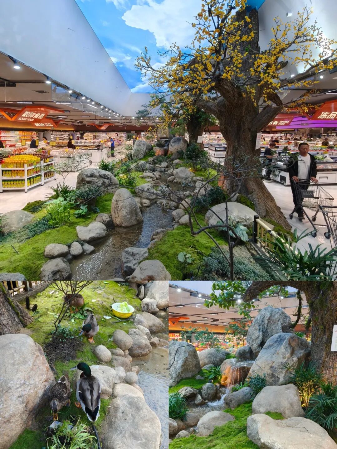 kaiyun开云电竞:实探农夫刘先生：“菜场+公园”模式成郑州超市新势力(图2)