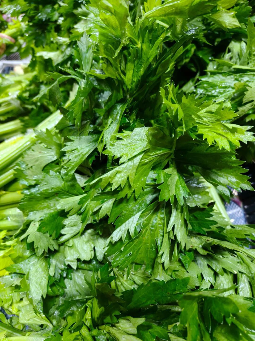 kaiyun开云电竞:实探农夫刘先生：“菜场+公园”模式成郑州超市新势力(图9)