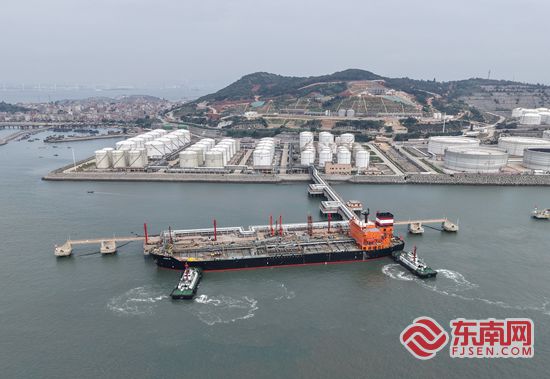 开云电竞app:福传泉港(图7)