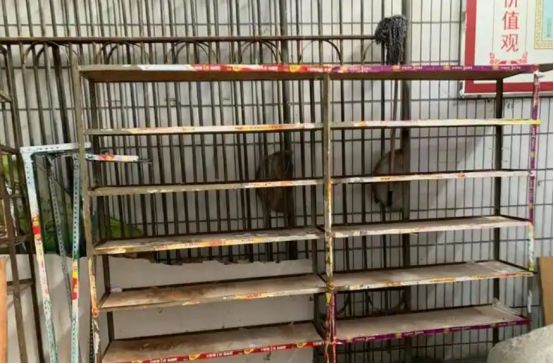 开云电竞房东深夜让我挪货架我：货架上有东西怎么挪？次日清晨警察敲我门(图2)