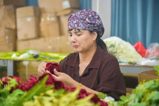 【央媒看宛】南阳社旗：一“架”一“花”并蒂开双擎驱动产业兴(图3)