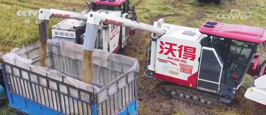 kaiyun开云电竞:机械化助力秋粮加速归仓各地加快农业生产共绘神州大地好“丰”景(图2)