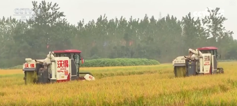 kaiyun开云电竞:机械化助力秋粮加速归仓各地加快农业生产共绘神州大地好“丰”景(图1)