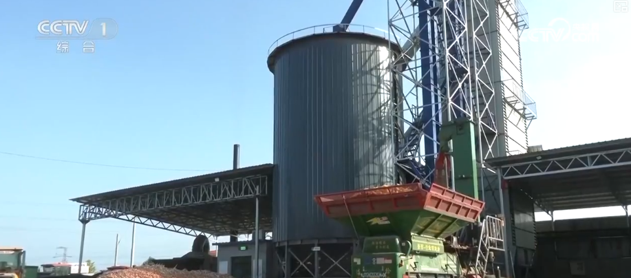 kaiyun开云电竞:机械化助力秋粮加速归仓各地加快农业生产共绘神州大地好“丰”景(图6)