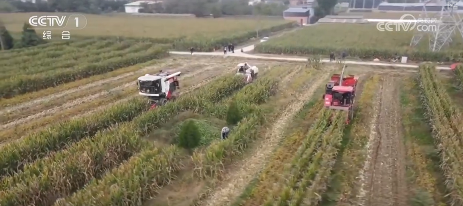 kaiyun开云电竞:机械化助力秋粮加速归仓各地加快农业生产共绘神州大地好“丰”景(图4)