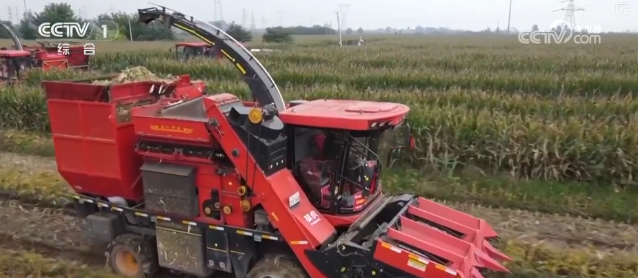 kaiyun开云电竞:机械化助力秋粮加速归仓各地加快农业生产共绘神州大地好“丰”景(图5)