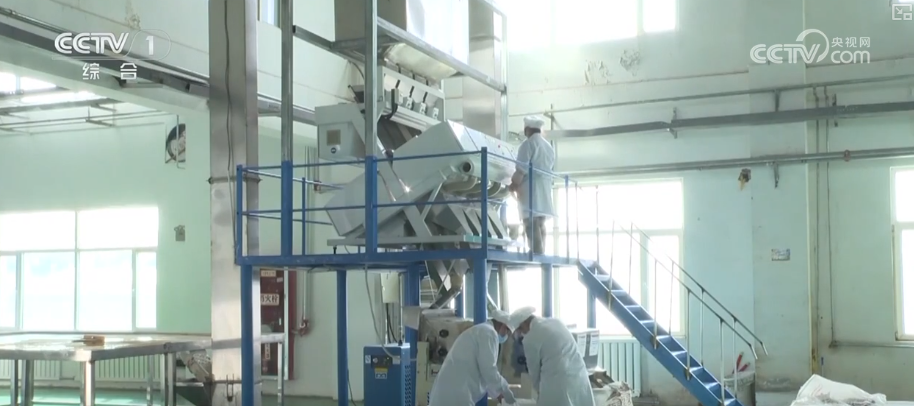 kaiyun开云电竞:机械化助力秋粮加速归仓各地加快农业生产共绘神州大地好“丰”景(图9)