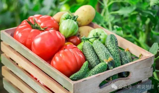 开云电竞入口:高考地理农产品的市场竞争力(图2)