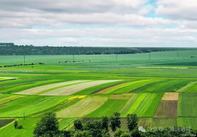 开云电竞入口:高考地理农产品的市场竞争力(图7)