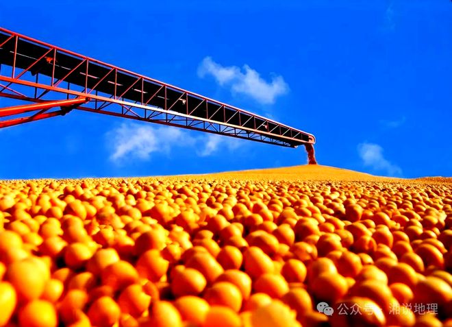 开云电竞入口:高考地理农产品的市场竞争力(图1)