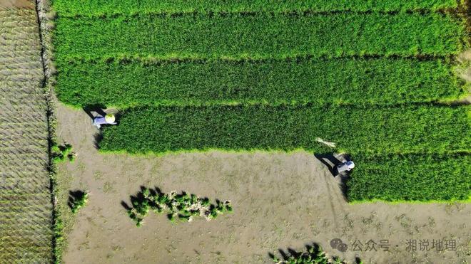 开云电竞入口:高考地理农产品的市场竞争力(图9)