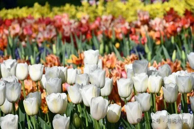 开云电竞入口:高考地理农产品的市场竞争力(图8)