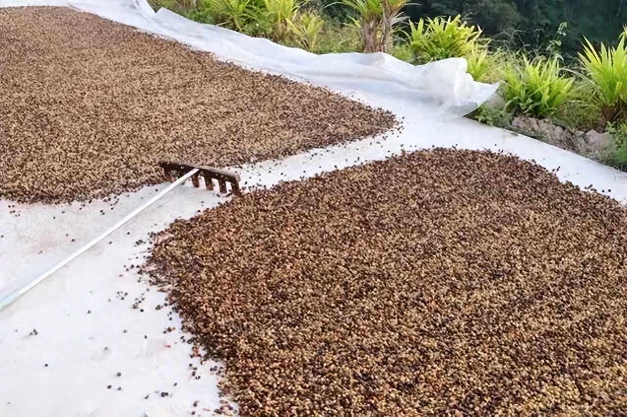 不参与外卖大战、不蹭大模型热度这半年拼多多都在干这件事(图1)