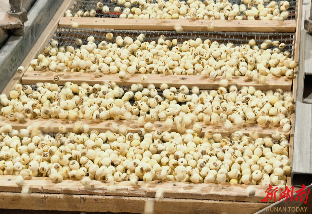 “市事”有我湘潭县监管“力度”＋服务“温度”筑牢市场安全防线(图1)