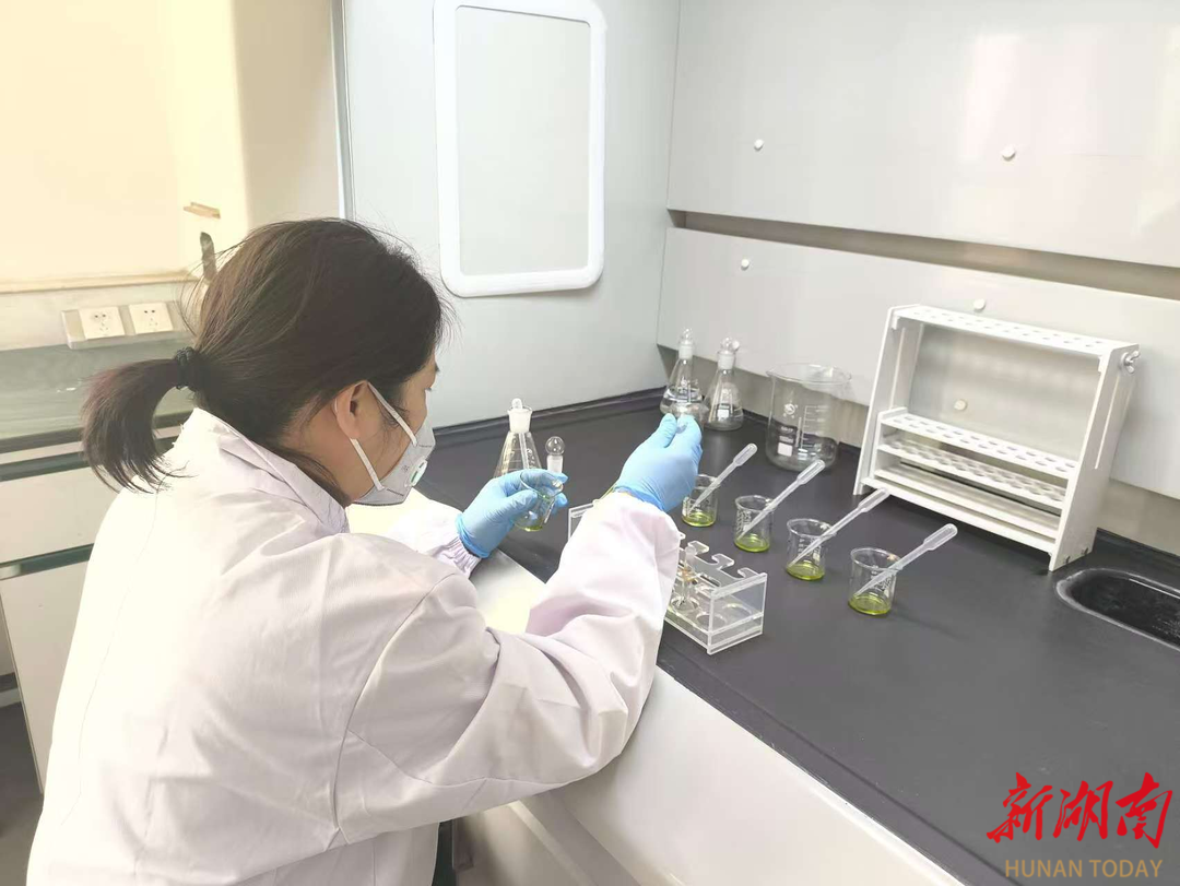 “市事”有我湘潭县监管“力度”＋服务“温度”筑牢市场安全防线(图4)