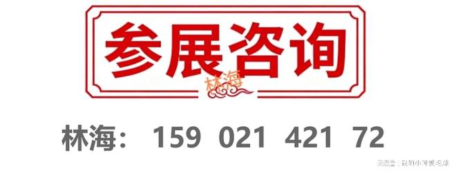 开云电竞世界的货架——2026义乌跨境选品博览会(图2)