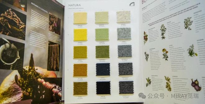 开云电竞:当羊绒有了“碳账本”：康赛妮用全链追溯给中国羊绒立标杆(图3)