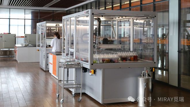 开云电竞:当羊绒有了“碳账本”：康赛妮用全链追溯给中国羊绒立标杆(图6)