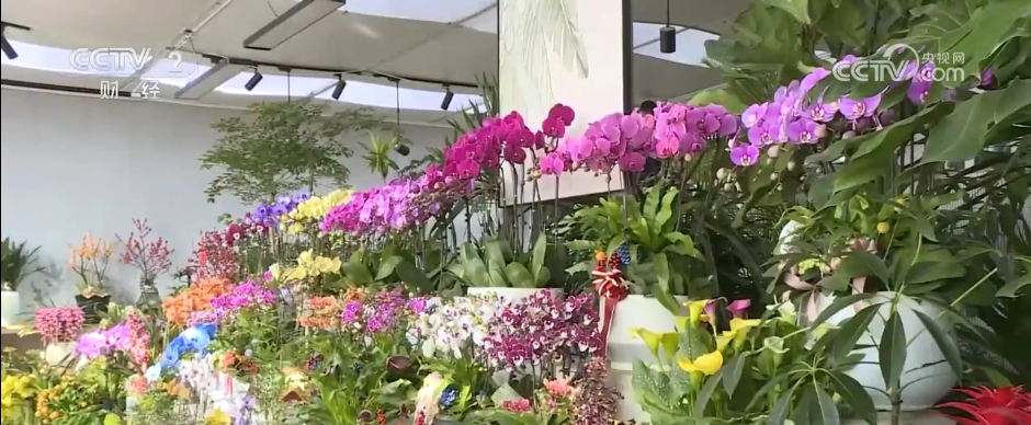 开云电竞app:特色集市、年宵花海……年味渐浓！用N种方式打开火热节前市场(图5)