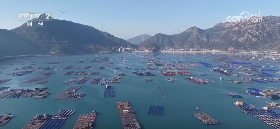 开云电竞app:特色集市、年宵花海……年味渐浓！用N种方式打开火热节前市场(图9)