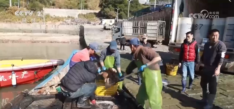 开云电竞app:特色集市、年宵花海……年味渐浓！用N种方式打开火热节前市场(图10)