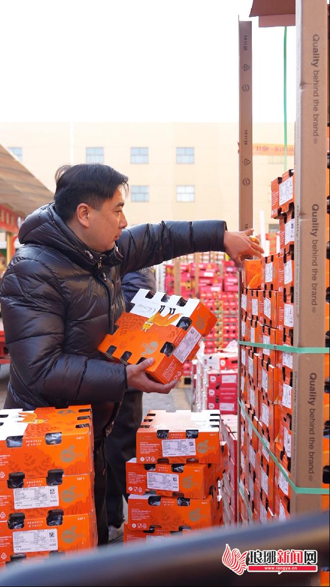 临沂：货源爆棚带动降价车厘子成今冬水果市场“主角”(图6)