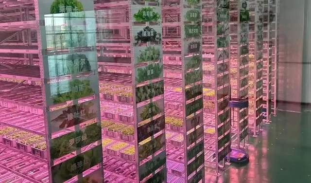 开云电竞:零售下半场人机协同推动效率革命(图12)