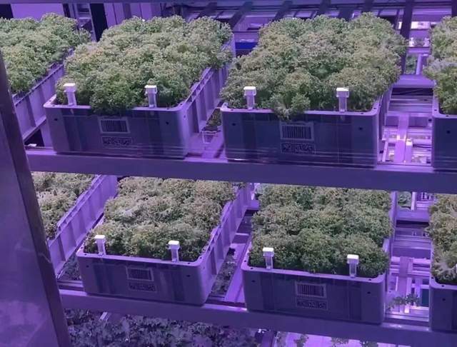 开云电竞:零售下半场人机协同推动效率革命(图11)