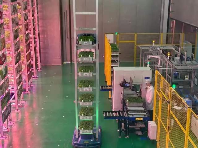 开云电竞:零售下半场人机协同推动效率革命(图13)