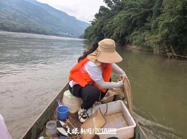 开云电竞:大江奔腾“国宝”归来(图1)