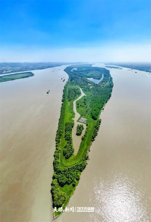 开云电竞:大江奔腾“国宝”归来(图19)