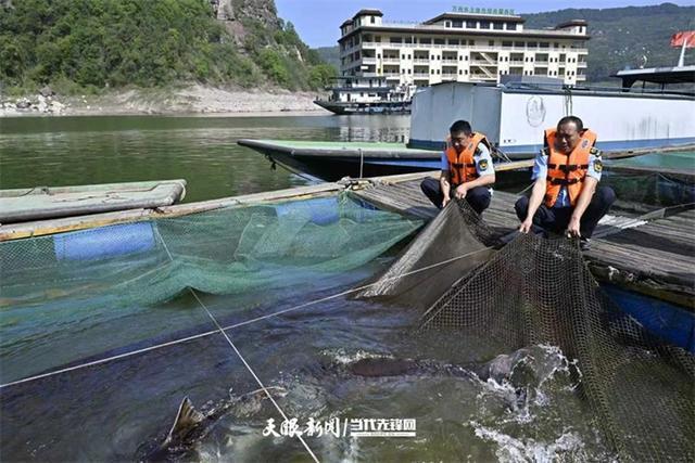 开云电竞:大江奔腾“国宝”归来(图8)