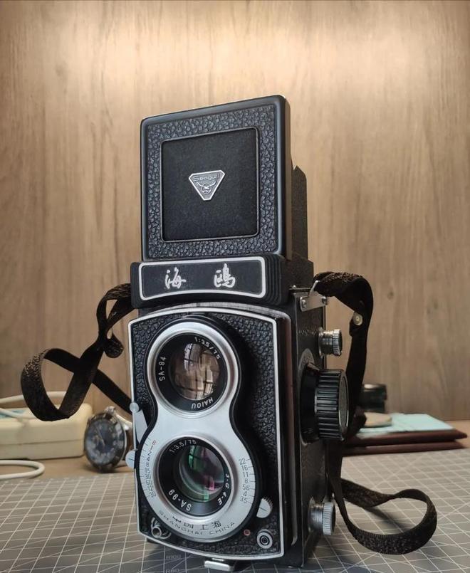 开云电竞网站:毛主席时代的十大名牌如今还有多少能买到？(图9)